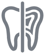 CrossSectionLine1